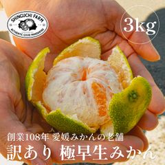 【大特価セール!!】訳あり 愛媛 みかん 3kg  新口農園 愛媛県川上産  【送料無料】【創業108年 老舗農家】新口農園 産地直送 西宇和 八幡浜 川上 極早生みかん ミカン 大玉 小玉 不選別 家庭用 規格外 果物 柑橘 訳アリ 訳あり