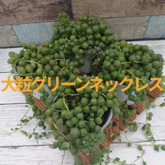 2026年最新】グリーンネックレスの人気アイテム - メルカリ