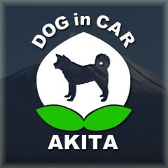 秋田犬のドッグインカーかわいい桃ちゃんの白色ステッカー‼︎