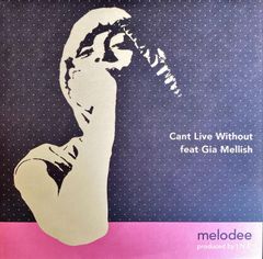 新品‼️送料込‼️ 【廃盤】Melodee ft. Gia Mellish / Cant Live Without (10") JanetのGot Til It's Gone的極上チルアウト！
