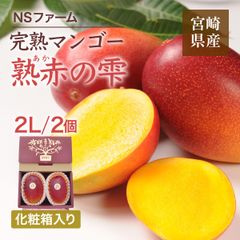 マンゴー 【NSファーム】 完熟マンゴー 糖度15度 ブランドマンゴー 熟赤の雫 2L 2個 780g 贈答用 御中元 宮崎県宮崎市《6/下～7/上より出荷》
