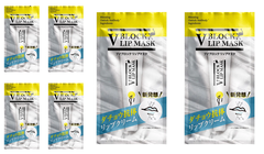 6個セット V BLOCK LIP MASK ブイブロックリップマスク リップ ダチョウ抗体 ブイブロック 塗るマスク 日本製 ダチョウ
