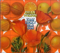 LUCKY OLD SUN 邦楽 レコード LUCKY OLD SUN 邦楽 レコード