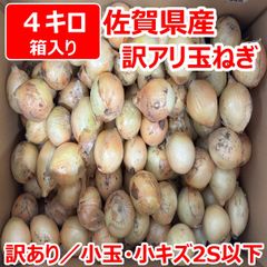 佐賀県産　玉ねぎ　訳あり　小玉・小キズ４キロ（2S以下）