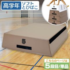 KaRaDaStyle 跳び箱 室内 子供 高学年向け ソフト 飛び箱 とび箱 ジョイント式 小学生 指導ライン 高重量 運動 自宅 子ども 室内 家庭用 5段目のみ 単品