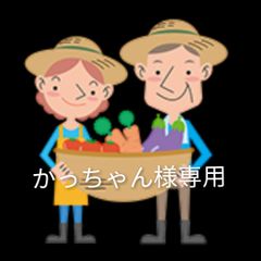 淡路島産 葉付き新玉ねぎ「スーパーアップ」又は「貴錦」淡路島玉ねぎ