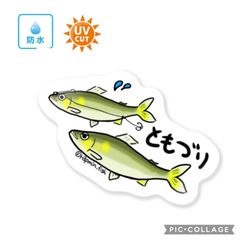 104 友釣り【防水&UVカット】釣り好きステッカー☆