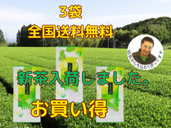 新茶入荷しました‼︎!全国 送料無料 健康 新茶 母の日 八十八夜 お茶  緑茶  くまもと茶  100g✕3袋　迷ったらこれです！　地元でばんばん売れます。