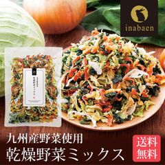 日本橋いなば園 九州産野菜使用 乾燥野菜ミックス 100g ネコポス メール便送料無料