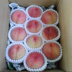 8月中旬発送　山形県産　硬い桃　おどろき　約2kg