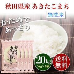 新米 秋田県産 あきたこまち 無洗米 20kg お米 20キロ 送料無料