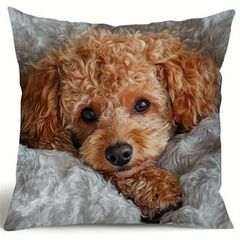 Item thumbnail for item 69cc6fc6-851b-440b-906c-0cbc5e29ec66