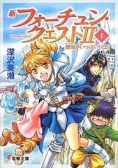 [古本] ラノベ フォーチュン・クエスト 37冊セット 楽天市場】フォーチュンクエスト 全巻の通販