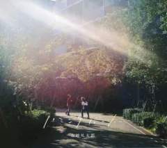 2025年最新】ハミングバード2021の人気アイテム - メルカリ