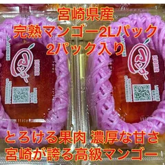 宮崎県産　完熟マンゴー  2Lサイズ　2パック入りのサムネイル