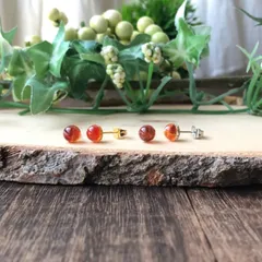 6㎜枠×カーネリアン・サージカルステンレスピアス／誕生石7月・天然石・メンズ