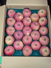 山形県産   サンふじ 10Kg  秀品 本詰めのサムネイル
