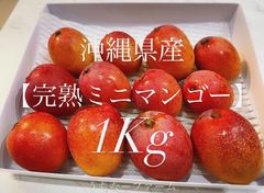 希少！数量限定！沖縄県産、産地直送【完熟ミニマンゴー】1Kg