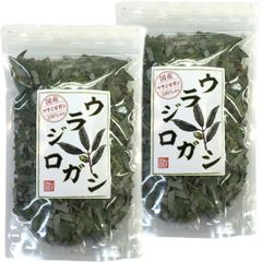 ウラジロガシ茶 100g【2袋セット】巣鴨のお茶屋さん 山年園