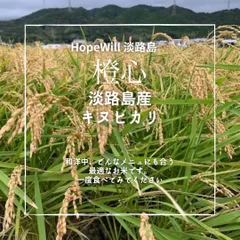 淡路島からの新米キヌヒカリ玄米3kg🌾令和7年度新米🌾のサムネイル