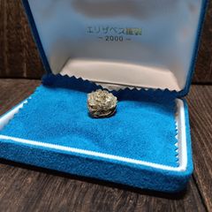 SK ワッペン パッチ 刺繍 コレクション AVIC International Holding  