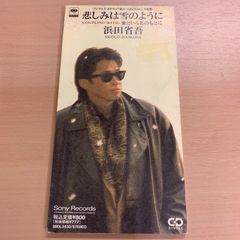浜田省吾/悲しみは雪のように