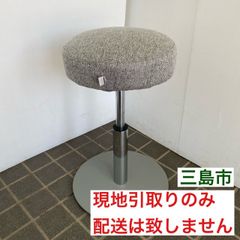 【配送不可、現地引取のみ、リユース品】ミズノ　ル・プリエスクワットバルン　グレー　健康器具（美品）