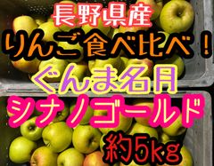 今年最終出品！数量限定！安い！りんご食べ比べSET！5キロ長野県産ぐんま名月×シナノゴールド　りんご　Apple 林檎　送料無料！