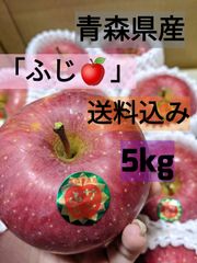 青森県産　りんご　「ふじ」　5kg