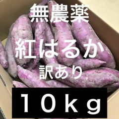 さつまいも　紅はるか　訳あり１０ｋｇ