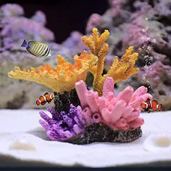 2024年最新】珊瑚オブジェの人気アイテム - メルカリ