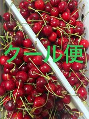 さくらんぼ（紅さやか）Mサイズ 箱込1キロ程度 山形県産