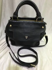 ANNA SUI アナスイ 2way レザー バッグ /ブラック