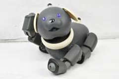 2025年最新】aibo メモリースティックの人気アイテム - メルカリ