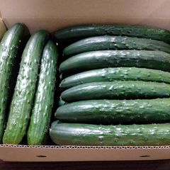 沖縄　宮古島産　キーツマンゴー　4kg 家庭用（訳あり） 沖縄 宮古島産 キーツマンゴー 4kg 家庭用（訳あり） - メルカリ