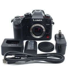 極上品 LUMIX GH6 ボディ シャッター数397回