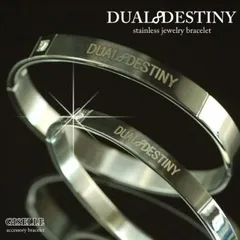 DUAL∞DESTINY ジュエリーステンレス製 CZダイヤ入り