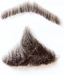 Item thumbnail for item ba6255d4-e8e4-48cf-a343-8c2456dd160d