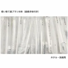 【30個セット】使い捨て 歯ブラシ 歯みがき粉 ホテル旅館 業務用 安心の日本製