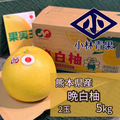 【数量限定品】熊本県産　晩白柚　5kg（2玉） ばんぺいゆ　バンペイユ