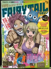 フェアリーテイル　限定タペストリー　B2 Amazon.co.jp: FAIRY TAIL フェアリーテイル B2タペストリー 横