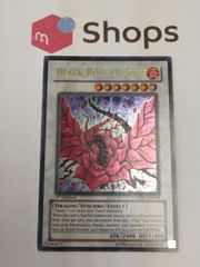 遊戯王　海外版　英語　ブラック・ローズ・ドラゴン / Black Rose Dragon　1st　ウルトラ　CSOC-EN039