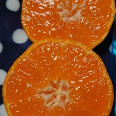 長崎 佐瀬みかん S～2S５kg 甘くて美味しい🍊