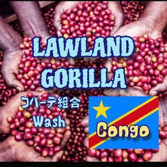 コンゴ KIVU3 コパーデ組合 ウォッシュ ローランド・ゴリラ ★スペシャリティコーヒー　100g入り★コンゴ珈琲豆★自家焙煎コーヒー豆★アイスコーヒー★エムリバーサイドコーヒー