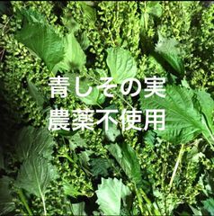青しそ　しその実　紫蘇の実　大葉　農薬不使用　ネコポス