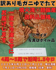 ゆでたて 訳あり毛ガニ４尾～５尾で１.５キロ前後活時計量　冷蔵便