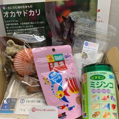 ライブシーソルト600L （人工海水） 即購入OK - やどかり屋 - メルカリ