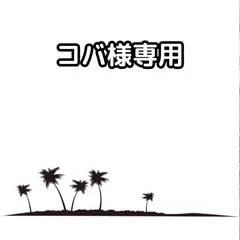 コバ様専用【希少につき即売れ御免！】【鉢ごと発送】イラワラキングパーム　 Archontophoenix cunninghamiana 'Illawarra'🌴(ユスラヤシ) 2025.2.7Ac2