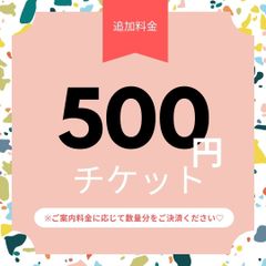 追加料金チケット