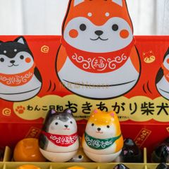 2個セット 薬師窯わんこ日和おきあがり柴犬ディスプレイセット /可愛い  商売繁盛  風水　置物 夏インテリア招福置物 和の縁起物 ギフト お祝い 贈り物 プレゼント